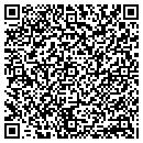 QR code with Premiere Styles contacts