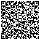 QR code with Pyrotek Incorporated contacts
