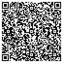 QR code with Process Plus contacts