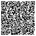 QR code with WJW TV contacts