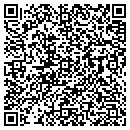 QR code with Publix Books contacts