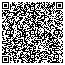 QR code with Chaneys Total Lawn contacts