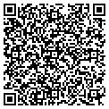 QR code with Paccar contacts