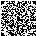 QR code with Cecilia K Julian CPA contacts
