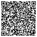 QR code with Salon contacts