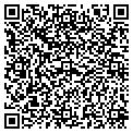 QR code with Pitco contacts
