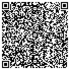 QR code with Spring Creek Auto Sales contacts