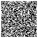 QR code with Pyramid Processing contacts