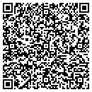 QR code with Bison Resources Corp contacts