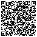 QR code with H Linn contacts