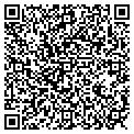 QR code with Dally Up contacts