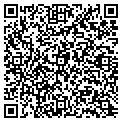 QR code with Lynn's contacts