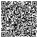 QR code with Maddin contacts