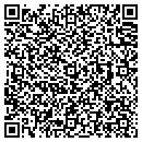 QR code with Bison Motors contacts