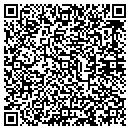 QR code with Problem Solvers Inc contacts