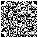 QR code with Cyrillas Finery Inc contacts