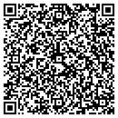 QR code with Pryor Small Engines contacts