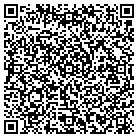 QR code with Briscoe's Rv & Fun Park contacts