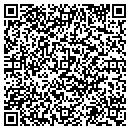 QR code with Cw Auto contacts