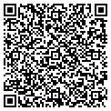 QR code with Buckle contacts