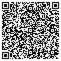 QR code with Pflag contacts