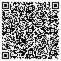 QR code with P M Pro contacts