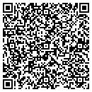 QR code with Crystal Pools & Spas contacts