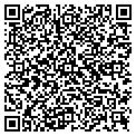 QR code with SKETCH contacts