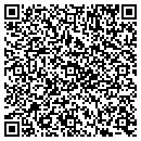 QR code with Public Storage contacts