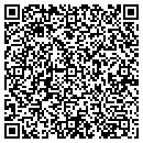 QR code with Precision Pools contacts