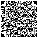 QR code with Pv Home Networks contacts