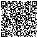 QR code with Tulips contacts