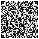QR code with Punch-Lock Inc contacts