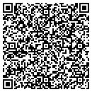 QR code with Bison Electric contacts