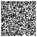 QR code with Cashion Grain & Feed contacts
