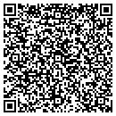QR code with Pyramid Spraying contacts