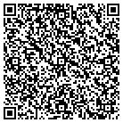 QR code with Public Strategies Inc contacts