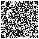 QR code with Colorgraphics Printing contacts