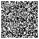 QR code with PSI Self Storage contacts