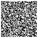 QR code with Pryor Group Inc contacts