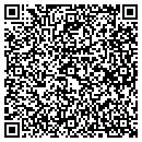 QR code with Color Time Painting contacts