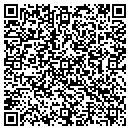 QR code with Borg (usa) Intl LLC contacts