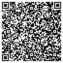 QR code with Carrier Access Corp contacts