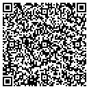 QR code with Carpet Steamaction contacts