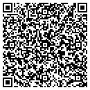 QR code with Premier Labs contacts