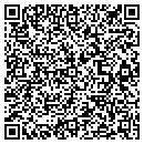 QR code with Proto Limited contacts