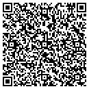 QR code with Public Works contacts