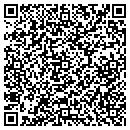 QR code with Print Perfect contacts