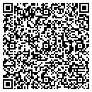 QR code with Public Works contacts