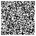 QR code with Tmg contacts
